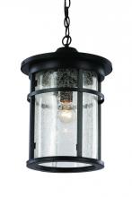  40386 BK - Avalon Crackled Glass Outdoor Hanging Pendant Light with Open Base